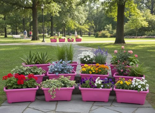 Image of Bianco Rectangular Plastic Pots for Plants, Jupiter Flower Pots for Home, Window Display, Garden (35 x 18.5 x 15 cm) (Pink) (Pack of 12)