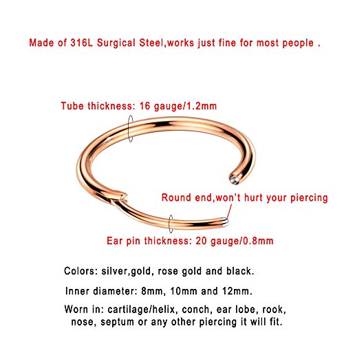 Image of 316L Surgical Steel Endless Hoop Earrings with 16g Tube for Women Silver /Gold /Rose Gold /Black 8mm /10mm /12mm