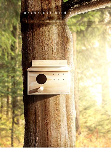 Hôtel multifonction pour oiseaux offrez un abri chaleureux