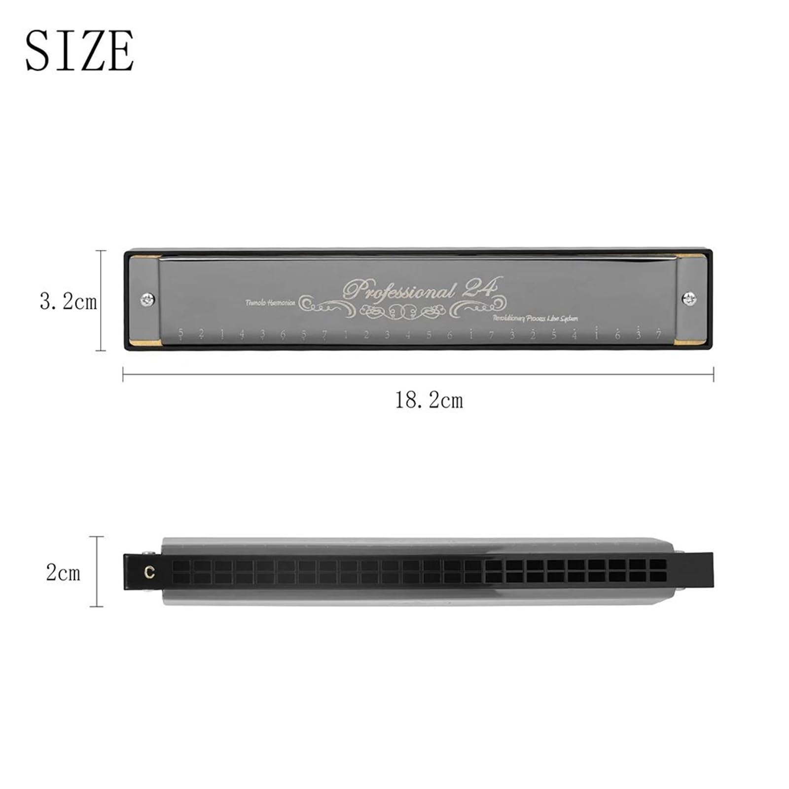 Armonica Per Principianti Armonica A Bocca Professionale A 24 Fori Con Custodia Per Principianti Strumento A Fiato Armonica A Bocca(Black)