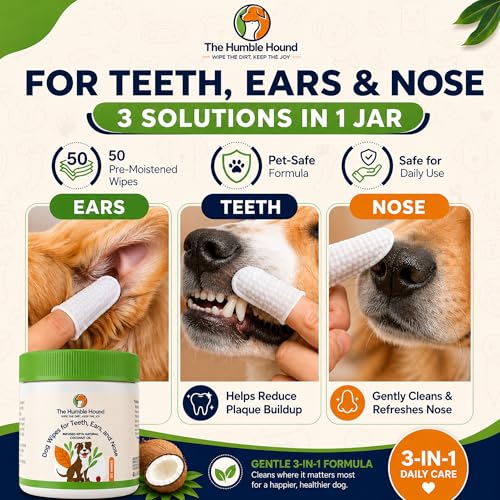 Image of 3-in-1 Dog Dental Wipes - Finger Wipes for Teeth, Ears & Snout Infused with Coconut Oil | Promotes Fresh Breath, Tartar Control & Daily Hygiene | Gentle Grooming Wipes for All Dogs - 50 Count