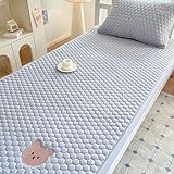 Photo Gallery ldlcycn grigio,90 * 190cm, protezione materasso antipolvere dimensione doppia copertura letto foglio imbottito imbottito copertura materasso per casa camera da letto dormitorio studentesco Photo Gallery ldlcycn grigio,90 * 190cm, protezione materasso antipolvere dimensione doppia copertura letto foglio imbottito imbottito copertura materasso per casa camera da letto dormitorio studentesco