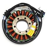 Die Stator-Generatorspule des Motors wurde entwickelt, um die Systemleistung wiederherzustellen und eine konstante Leistungsabgabe aufrechtzuerhalten