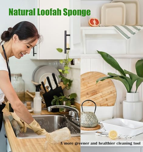 Image of Natural Loofah Kitchen Sponge (3 Pcs) No Scratch Scrubber for Dishwashing, 100% Plant Fibers Vegetable Scrubber, Zero Waste and Eco Friendly Loofa, Square, Large Size
