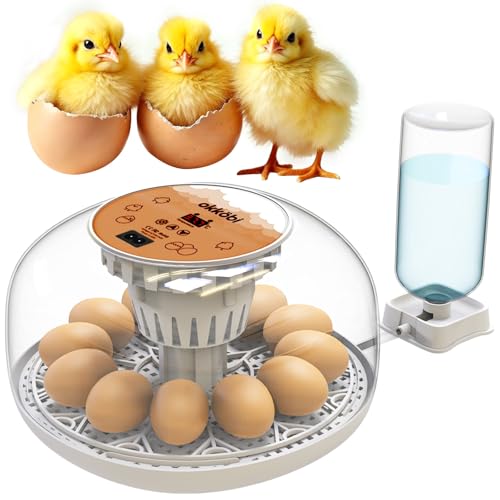 Okkobi M12 Egg Incubator with Automatic Turner and Humidity Control - 12/24 Eggs, 360° View, Easy to Use and Clean - Incubadora de Huevos de Gallina - Made for US - White & Orange