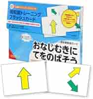 たなか 視知覚トレーニングフラッシュカード5点セット TOSS 視知覚トレーニングフラッシュカード DVD付き！ 5点セット