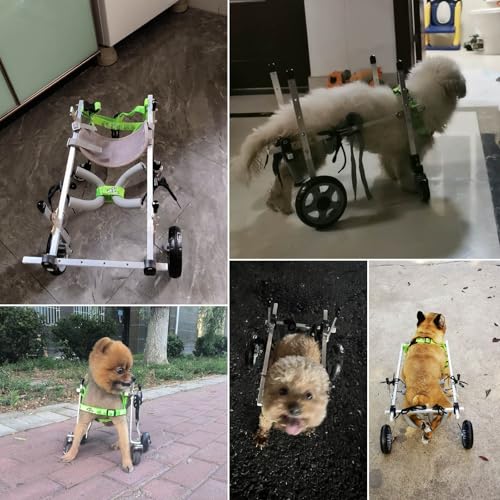 Fauteuil roulant pour animaux de compagnie handicapés réglable à pneus