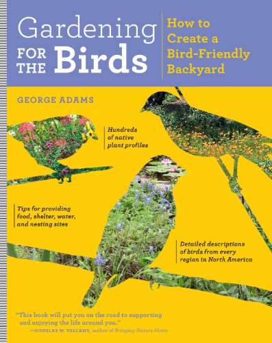 Gardening For The Birds: How To Create A Bird-Friendly Backyard