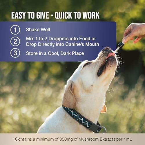 Image of MycoDog Breathe - Respiratory Support Supplement for Dogs - Breathing Comfort & Airway Health - French Bulldogs, Pugs, & Flat-Faced Breeds - Natural Mushroom and Ashwagandha Drops