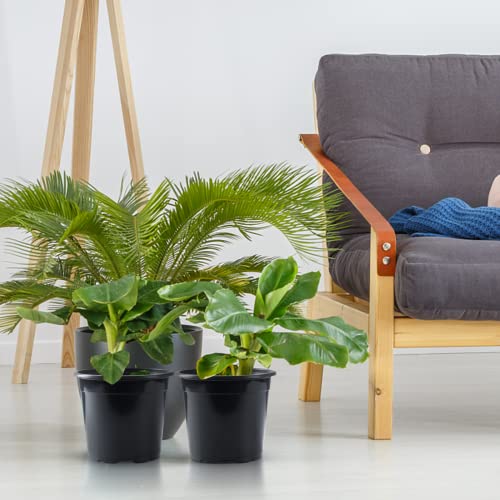 50Pcs Plastic Pots For Plants 4 Inch Small Plant Pots With Drainage Holes Seedling Pots Nursery Pots For Succulent Seedling Cutting Transplanting #TOP6