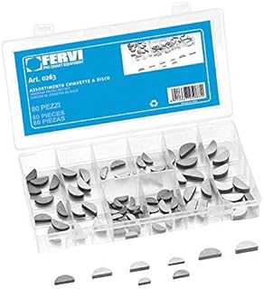 ASSORTIMENTO 80 CHIAVETTE A DISCO FERVI 0263