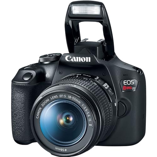 Canon EOS Rebel T7 con lentes, bolso y accesorios miniatura 6
