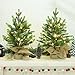 Lulu Home 2 Packs Pre-lit Artificial Mini Christmas Tree, 24 Inch Tabletop Battery Operated Norfolk Pine Tree with 50 LED Light and Burlap Wrap Base for Xmas Spring Decor