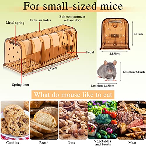 Qualirey Rat Trap Humane Mouse Trap Catch And Release Mouse Traps Indoor For Home No Kill Mole Trap Live Rodent Trap Pest Control Traps Mice Trap For Indoor Outdoor House Home Use (Brown, 4 Pcs) #TOP1