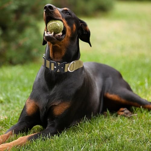 Ledeak Taktisches Hundehalsband mit Griff, Verstellbares Anti Zieh Breites Hunde Halsband Gepolstert, Dog Collar mit Metallschnalle erziehungshalsband für Hunde (Khaki, M)