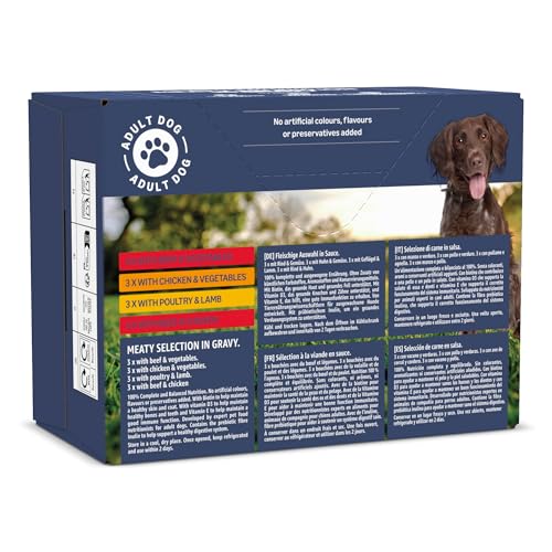 by Amazon Alleinfuttermittel für ausgewachsene Hunde, Fleischauswahl in Sauce, 1.2 kg (12 Packungen mit 100g)