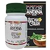 Adoçante Stévia Color Andina 40g
