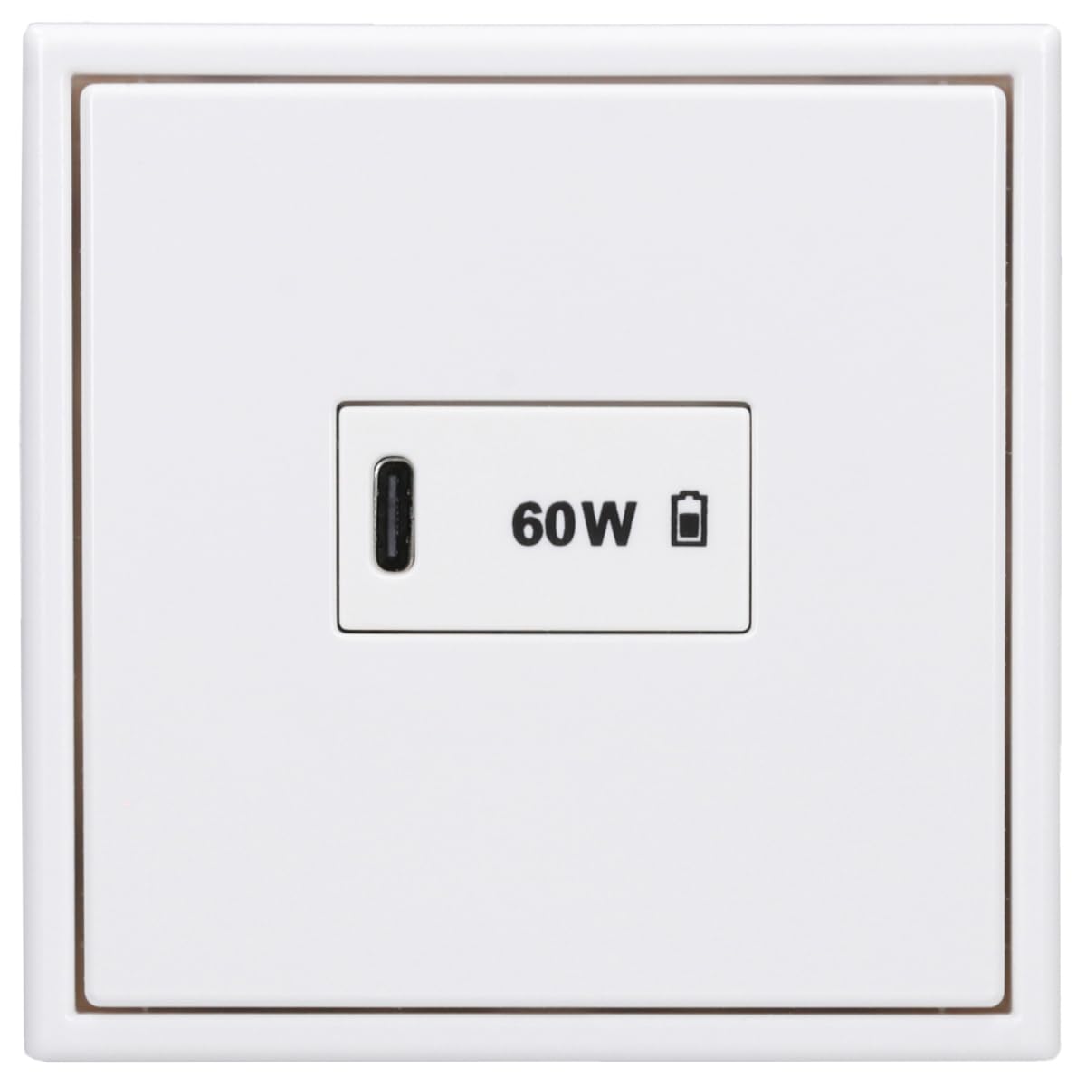 JUNG LS USB-C Schnellladegerät 60W Power Delivery Alpinweiß | USBPD60CWW mit LS1969USBWW Abdeckung, LS981WW Rahmen 1-fach