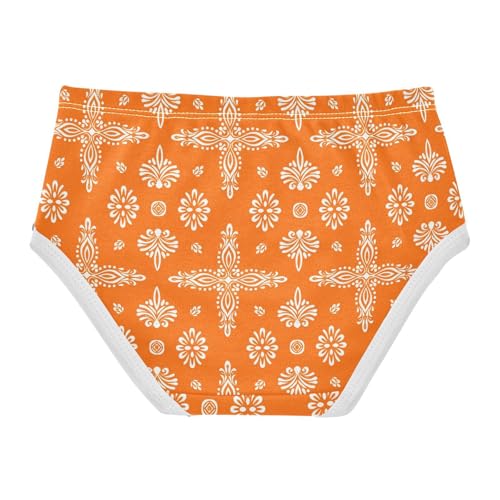 Abstract Texture Orange Toddler Girls's Underwear 2T 23028872