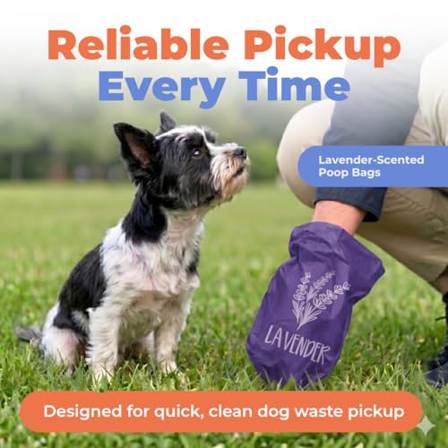 Image of Best Pet Supplies Dog Poop Bags for Waste Refuse Cleanup, Doggy Roll Replacements for Outdoor Puppy Walking and Travel, Leak Proof and Tear Resistant, Thick Plastic - Purple Lavender Scented, 150 Bags