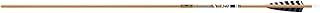 Gold Tip Traditional XT Arrows with 5-Inch Feathers (Pack of 6), Brown, 500