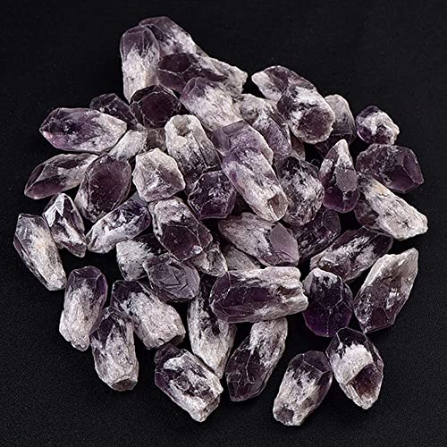 HXSCOO Combo de Citrino y Amatista de 100g, Venta al por Mayor, Puntos de Cristal, Cristales curativos, paisajismo, Feng Shui, decoración de peceras (Color : Amethyst, Size : 100g)