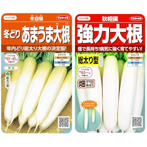 【セット買い】実咲野菜 ダイコン あまうま総太り冬自慢 小袋003065 + サカタのタネ 強力大根 秋相撲
