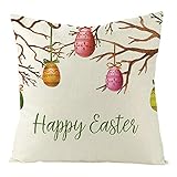 Banemi Fundas de Cojines 50X50cm Sofa, Ramas de Pascua con Huevos Sabana de Algodon Marrón Beige For Case Sofa Auto Home