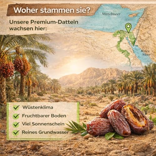 Premium Qualität Medjoul Datteln 5Kg Jumbo Xl Datteln | 100% Natürlich, Ohne Zuckerzusatz, Gesunder Snack, Energiequelle (5 Kg Medjoul Datteln)