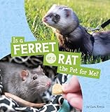 Is a Ferret or a Rat the Pet for Me? (This or That Pets)