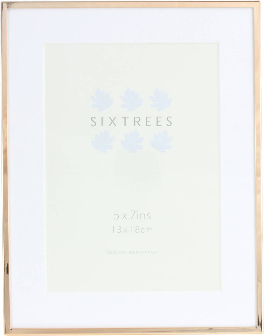Sixtrees Gold Rose Narrow Profile Photoframe With A Mount For A 7"X5" Picture - Park Lane