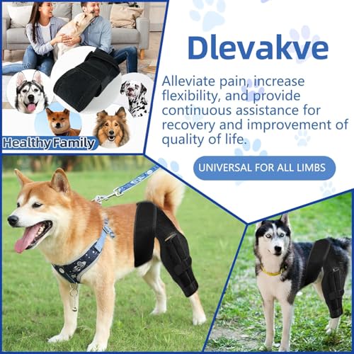 Image of M Dog Knee Brace for Torn ACL, Luxating Patella & Arthritis - Adjustable Support for Hind Leg, Cruciate Ligament, and Injury Recovery