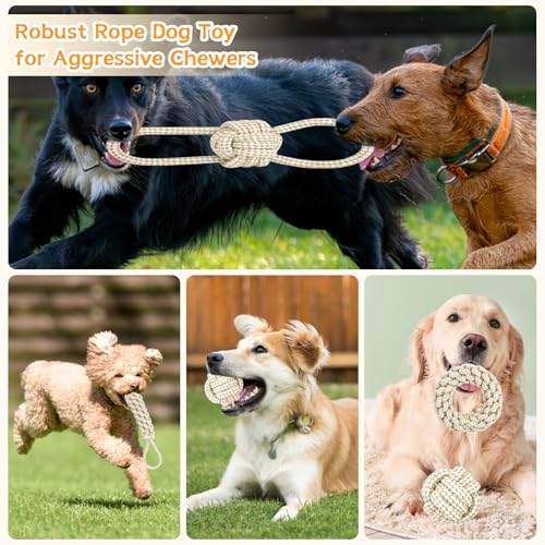 PIWOSGOL 5 Stück Hunde Kauspielzeug Seil, Geflochtene Hundeseile Spielzeug aus Baumwolle & Hanf, Hundespielzeuge Set, Interaktives Kauspielzeug für Welpen, Kleine, Mittelgroße Hunde