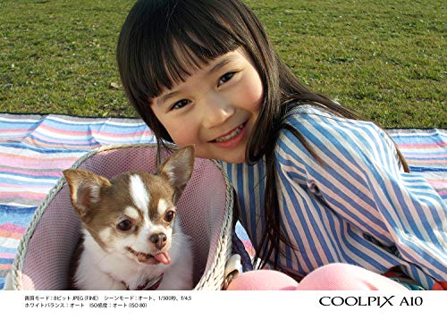 Nikon Coolpix A10レビュー １万円デジカメの写真を徹底検証 実写あり