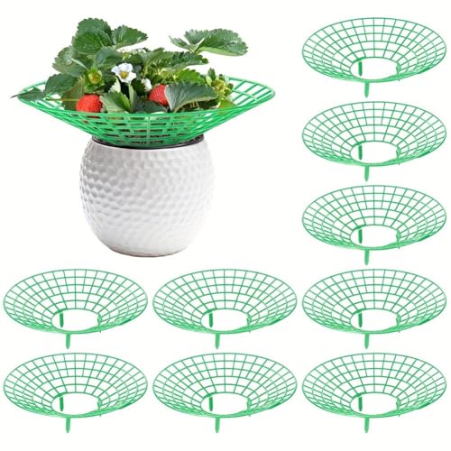 MonoSora Supporto per fragole, 10 pezzi, traliccio in plastica per fragole, pomodori, erbe, scaffale da giardino rialzato per circolazione dell'aria e maturazione
