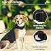 Huntvp taktisch Hundehalsband Verstellbar mit Kontrollgriff, aus Nylon, gepolstert, Metallschnalle, für Mittlere Große Hunde Jagd Training Freizeit Outdoor, Schwarz M