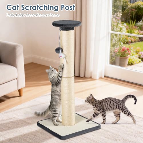 Rascador para gato resistente con poste y base de madera miniatura 6