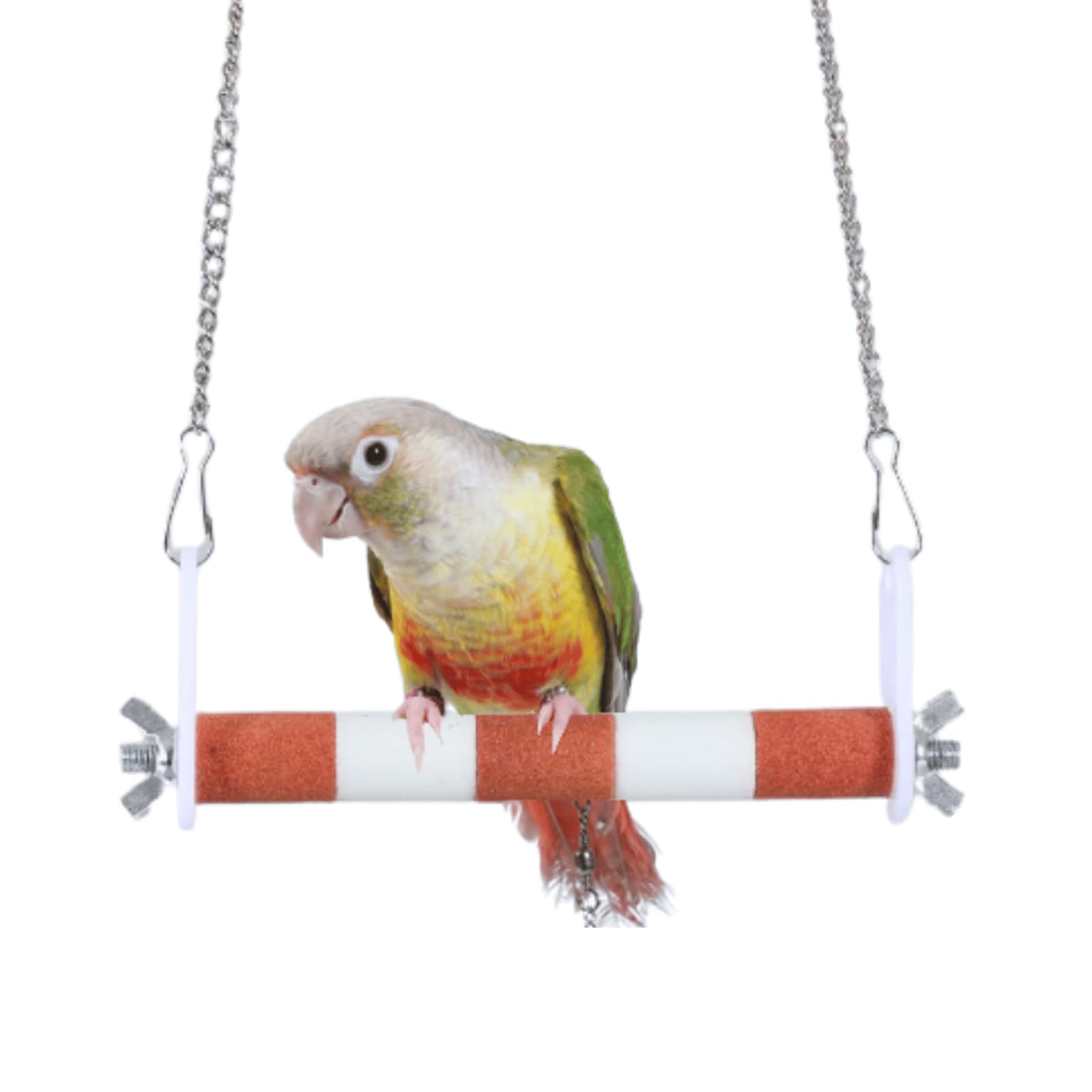 Colorful Bird Frosted Perch Swing Hanging Claw Grinding Stand for Parrot Parakeet Cockatiel Budgie Conure (Orange,S)