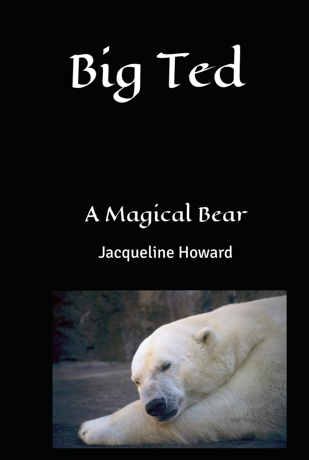 Big Ted: A Magical Bear