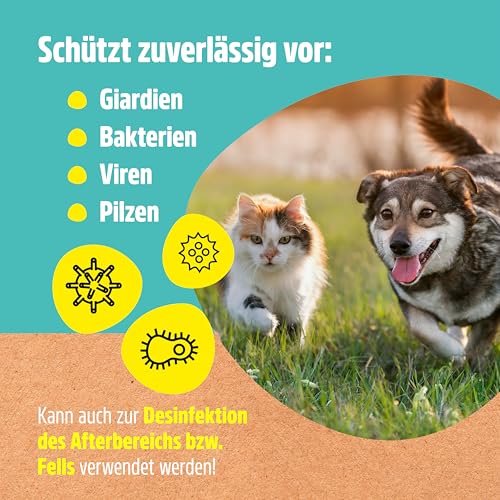 Green Hero Giardien EX Desinfektionsmittel Spray für Hund & Katze 500ml | Hochwirksam gegen Giardien, Bakterien, Viren & Pilzen | Dermatologisch getestet zur Desinfektion von Tieren und Umgebung