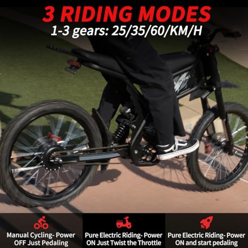 Image of GT73 / GT54 Electric Dirt Bike for Adults Teens - 3000W / 2500W Motor 50 /37 MPH High-Speed, 25 inch /14 inch Fat Tires & Dual Removable Battery(60V /48V) | All-Terrain Off-Road eBike for Snow, Sand