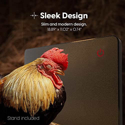 Econohome Safe Chicken Coop Heater thumb #2
