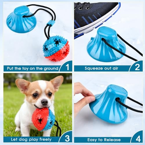 Hundespielzeug mit Saugnapf Hunde Molar Hundebeschäftigung für Zuhause Spielzeug Hunde Beschäftigung, Kauseil Ball Spielzeug Selbstbeschäftigung Hund Zahnbürste Spielzeug für Kleine Mittelgroße Welpe