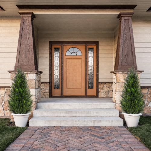 View 4