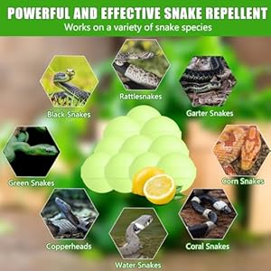 24-Pack-Snake-Repellent-for-Yard-Powerful-Natural-Snake-Repellent-Balls-for-Outdoors-and-Indoor-Keep-Rattlesnake-Rats-and-Pests-Away-from-Lawn-Yard-Garden-Camping-Fishing-Safe-for-Humans-Pets - Cucciolini Doodles   24-Pack-Snake-Repellent-for-Yard-Powerful-Natural-Snake-Repellent-Balls-for-Outdoors-and-Indoor-Keep-Rattlesnake-Rats-and-Pests-Away-from-Lawn-Yard-Garden-Camping-Fishing-Safe-for-Humans-Pets