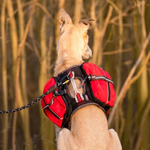 iEnergy™ MAL Hunderucksack - Wetterfester Rucksack für Hunde – Gut gepolsterter Wanderrucksack (Klein)