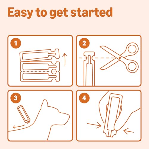 Image of Amazon Basics Preventative Flea and Tick Topical Treatment for Small Dogs (5-22 pounds), 6 Count, Packaging May Vary