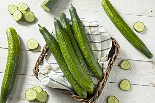 Cucumber Chinese Snake Curved (Cucumis Sativus) 10 Seeds For Planting, Heirloom, Open Pollinated, Non-Gmo, Cucurbitaceae, Armenian Cucumber, Very Crisp, Tender, And Delicious #TOP2