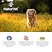 NaturVet Aller-911 Advanced Allergy Aid for Dogs, Cats – Antioxidant-Rich Pet Supplement with Omegas, DHA, EPA – Helps Support Dog Immune System, Cat Respiratory Health, Skin Moisture 180 Soft Chews