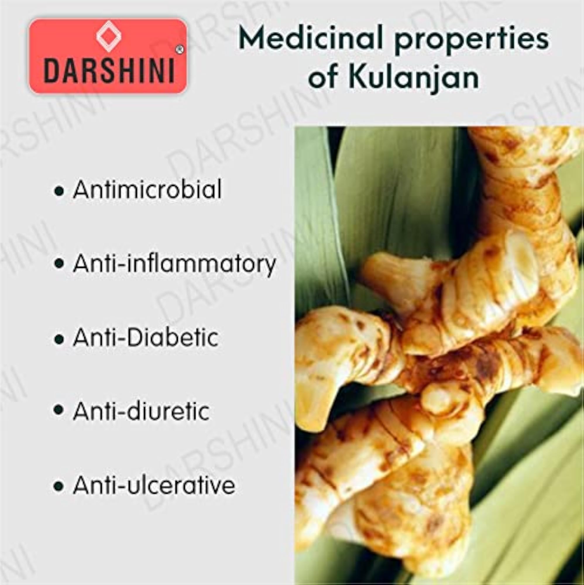 Darshini Kulanjan Root Powder, 200 Grams